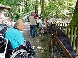 Tagespflege Löbau zu besuch im Tierpark